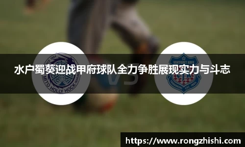 77体育app下载官网